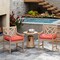 Set of 2 Outdoor Indoor Chair Cushions with Thick Cotton Filling and Reversible Design